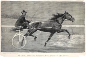 Kite Racing Horse