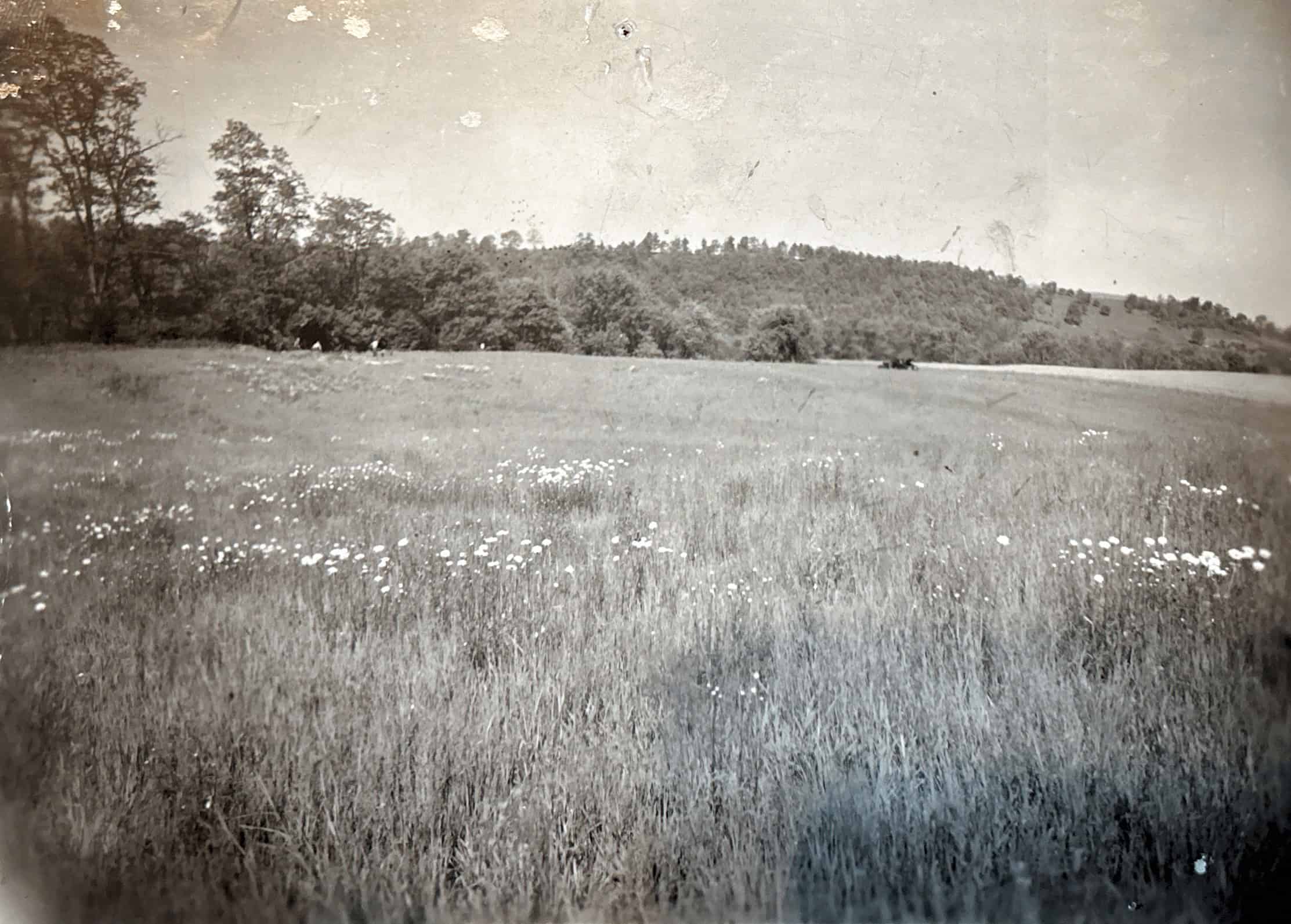 Photographs of the McFate Archeological Dig near Cochranton, Pennsylvania. Collection of the Crawford County Historical Society