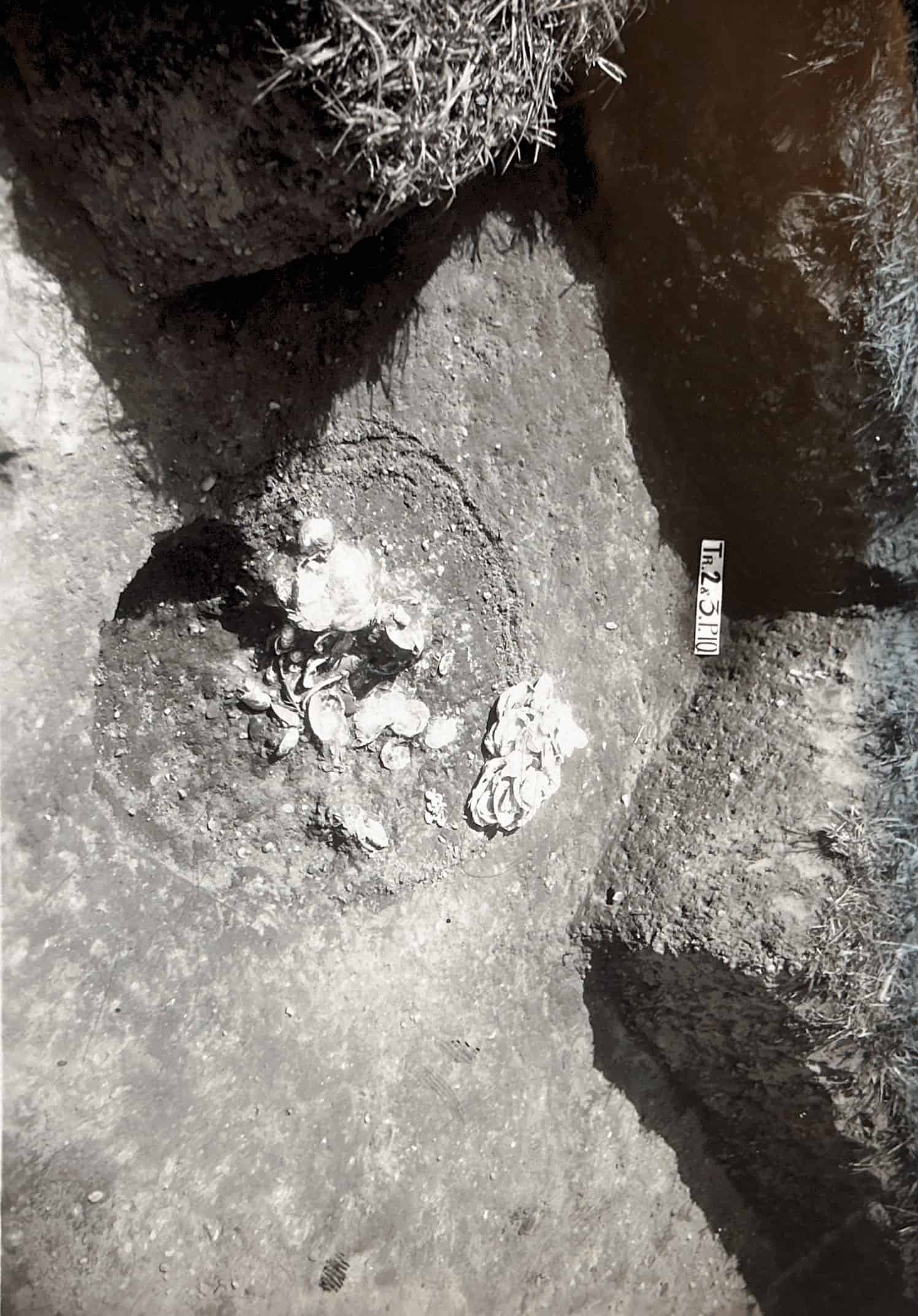 Photographs of the McFate Archeological Dig near Cochranton, Pennsylvania. Collection of the Crawford County Historical Society.