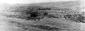 openrange